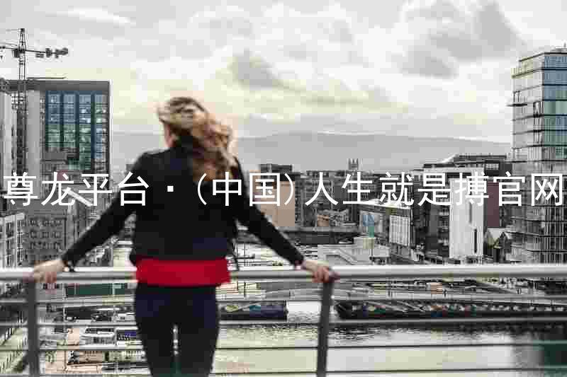 尊龙平台·(中国)人生就是搏官网