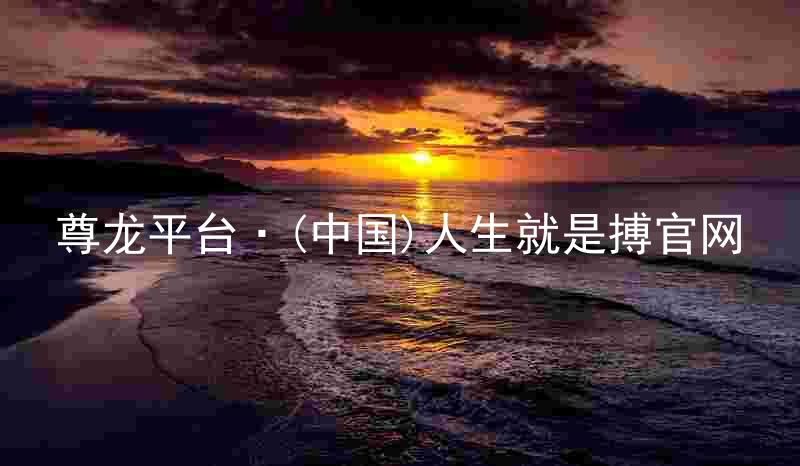尊龙平台·(中国)人生就是搏官网