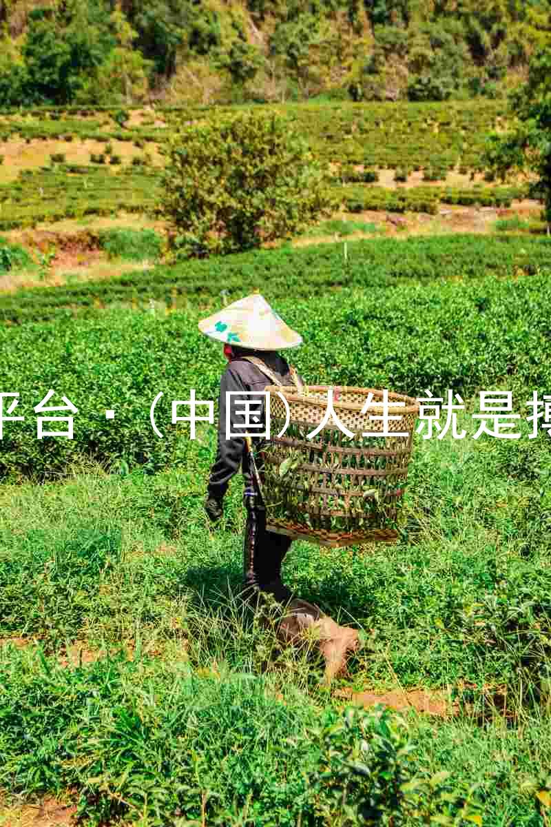 尊龙平台·(中国)人生就是搏官网