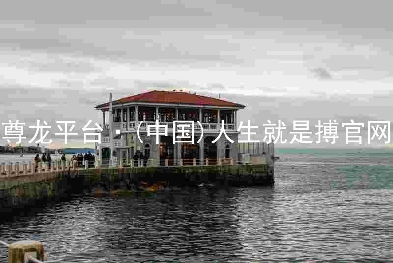 尊龙平台·(中国)人生就是搏官网