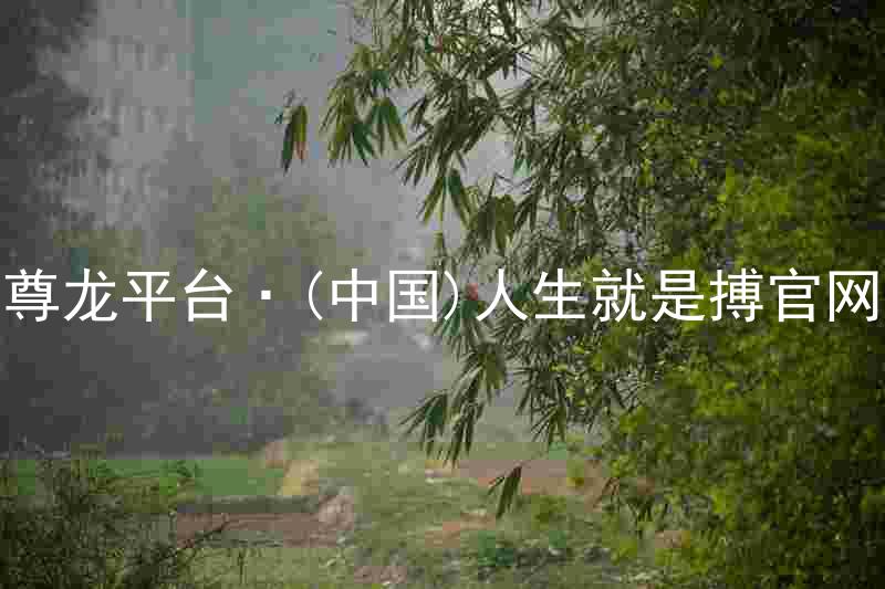 尊龙平台·(中国)人生就是搏官网