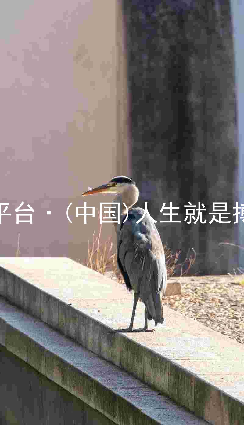 尊龙平台·(中国)人生就是搏官网