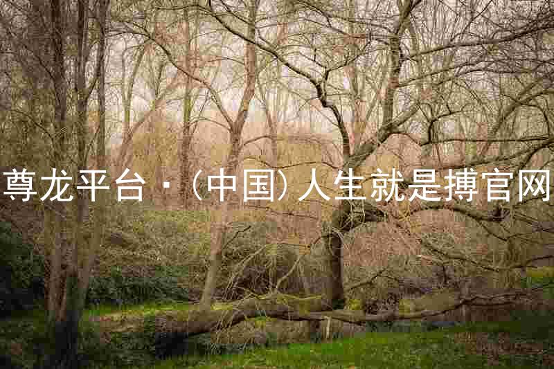 尊龙平台·(中国)人生就是搏官网