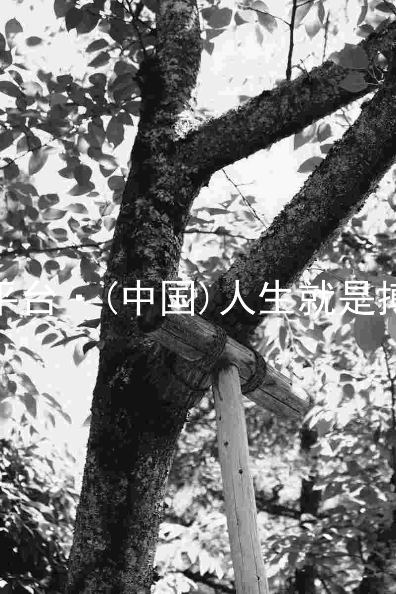 尊龙平台·(中国)人生就是搏官网