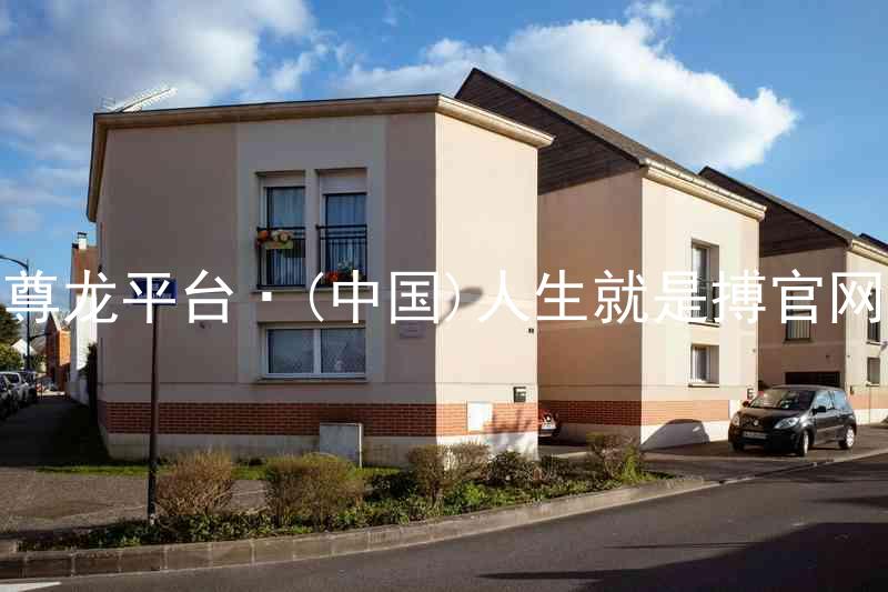尊龙平台·(中国)人生就是搏官网