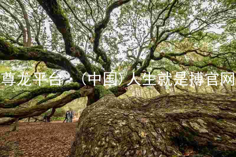 尊龙平台·(中国)人生就是搏官网