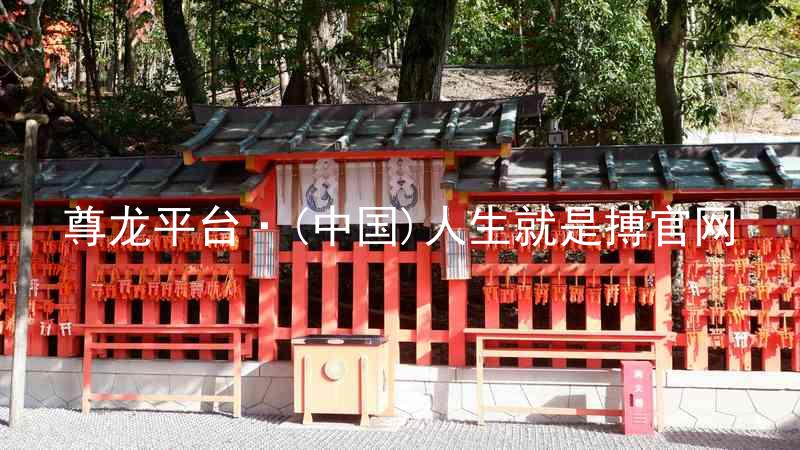尊龙平台·(中国)人生就是搏官网