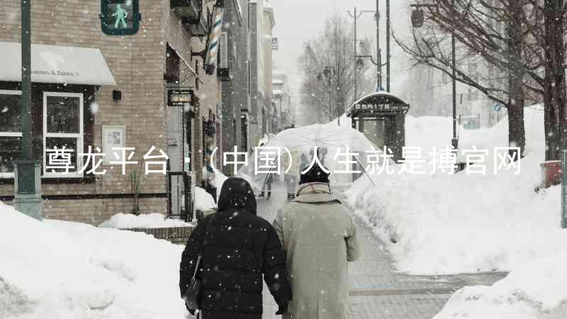 尊龙平台·(中国)人生就是搏官网